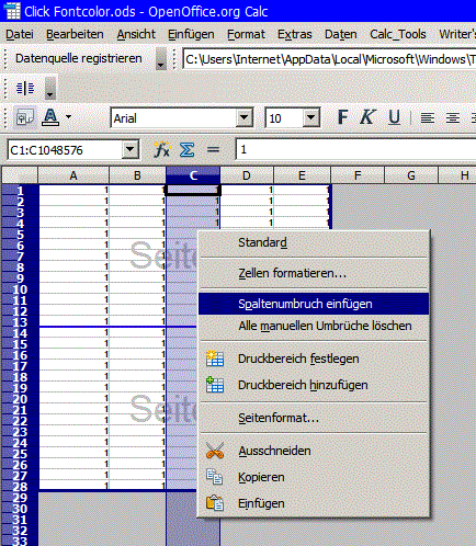 Seitenumbruchvorschau-Calc.gif