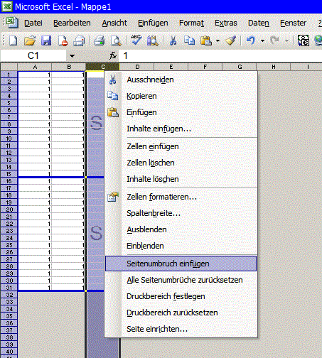 Seitenumbruchvorschau-Excel.gif