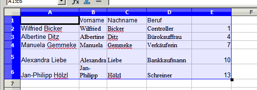 Schritt5.gif