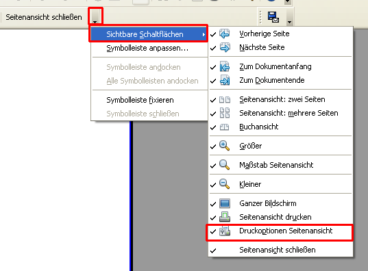 icon_druckoptionen_seitenansicht.png