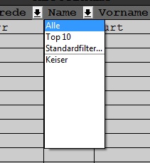 bei vielen gleichen einträgen noch übersichtlich