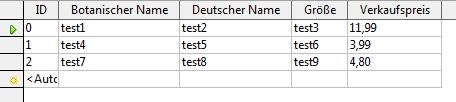 Dies ist die Datenbank; hier soll eine Zeile kopiert werden und die Inhalte in einzelnen Zellen wie im nächsten Bild zu sehen dargestellt werden.