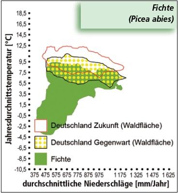 Klimahuelle2.jpg