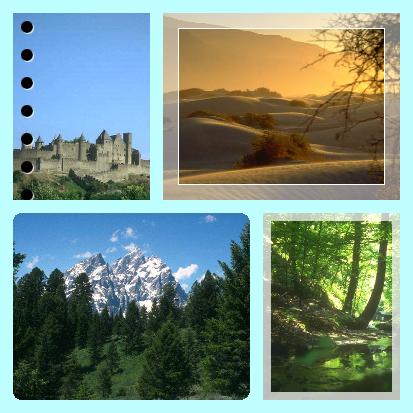 Collage_PhotoScape.jpg