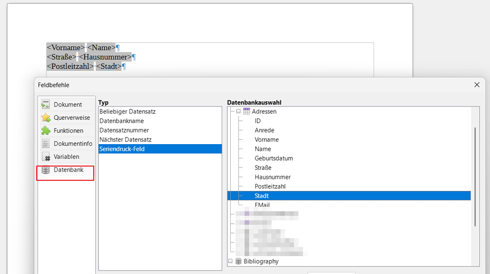 Einfügen → Feldbefehl → weitere Feldbefehle.png
