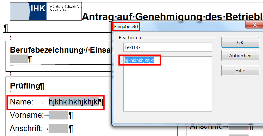 Eingabefelder in Doc-Datei.png